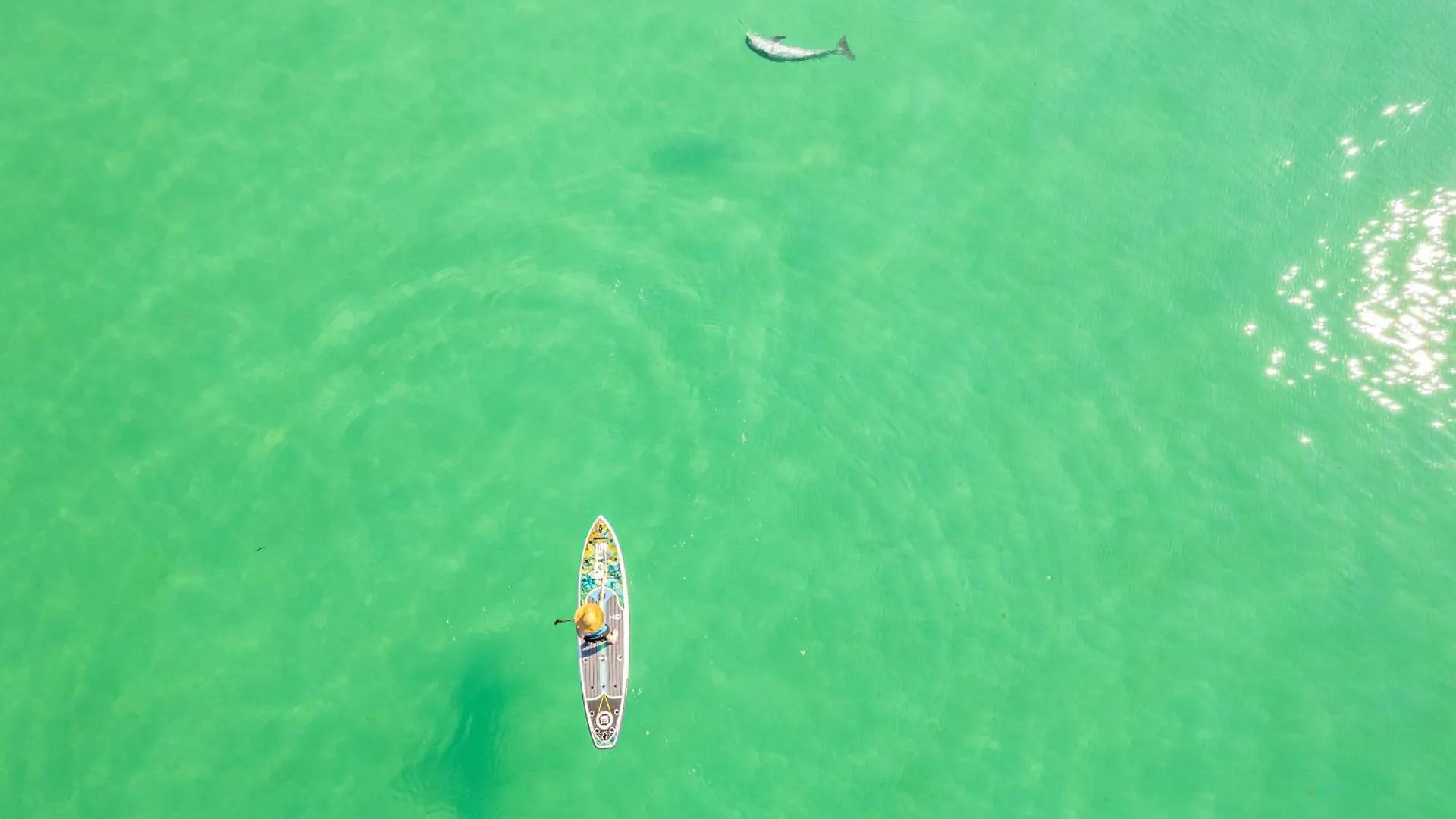 Apartment Inlet Reef 616- By Holiday Isle Properties Destin United States